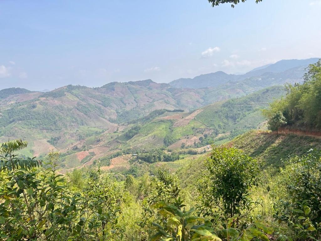 My Story Doichang Chiangrai Ban Huai Khai Exterior photo